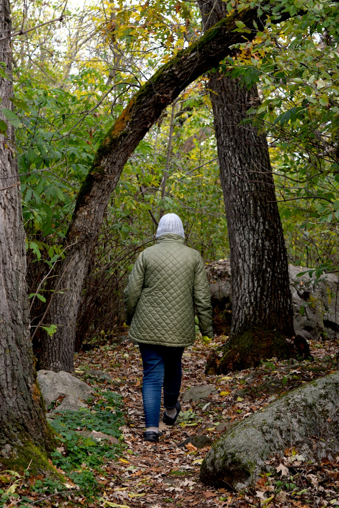 Ecotherapy and Nature-Based Counselling: How the Outdoors Supports Mental Health