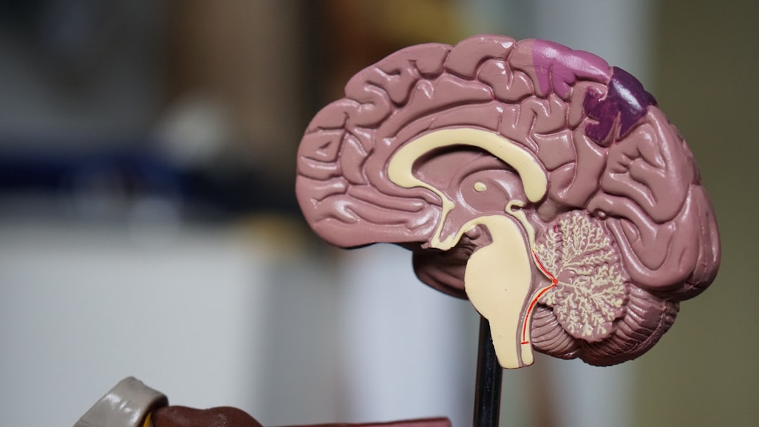 Polyvagal Theory and Therapy: Why Your Nervous System Is Not the Enemy