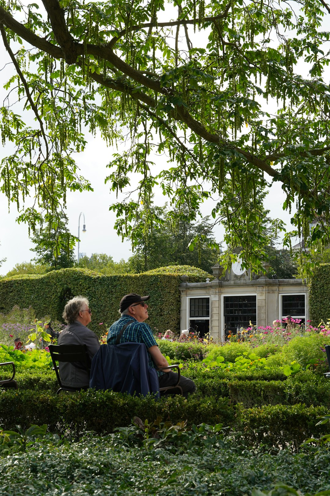 Retirement Counselling: Why the End of Work Can Feel Like a Crisis